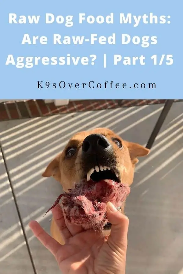 Raw Dog Food Myths: Are Raw-Fed Dogs Aggressive? | Part 1/5