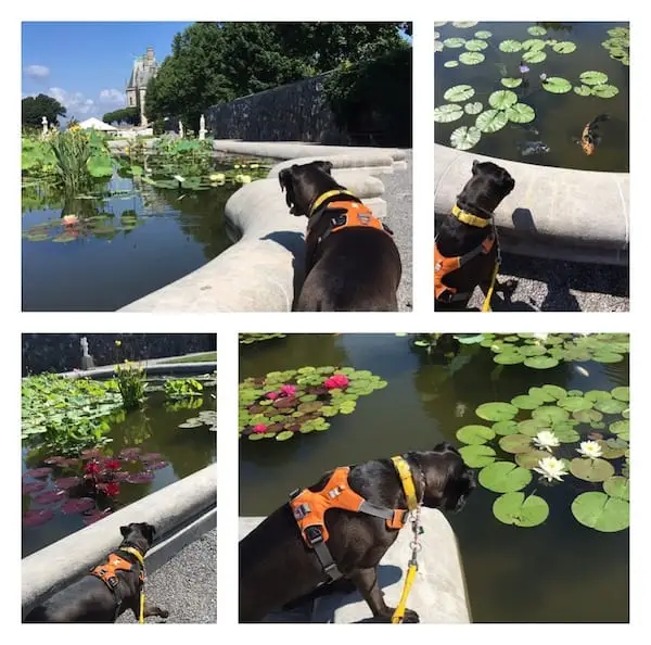 Fitness For The Body & Soul at Biltmore Estate:Italian Gardens