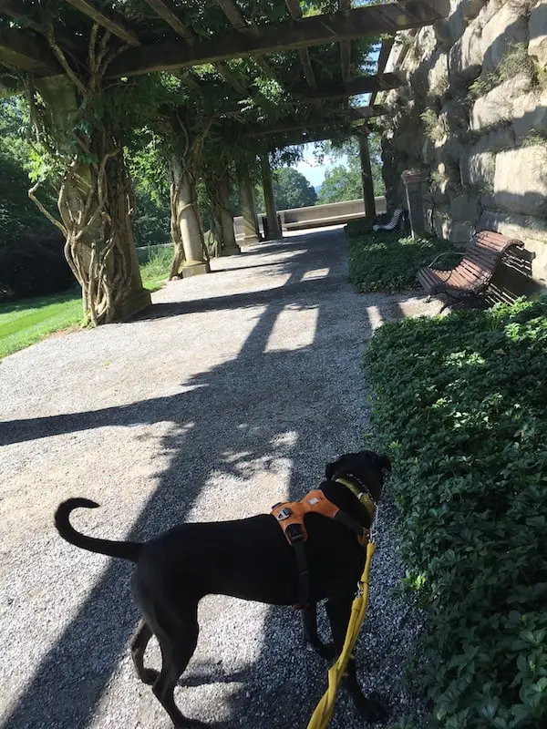 Walking The Gardens At Biltmore Estate in Ashville, NC