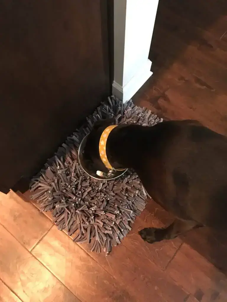A black Boxer mix dog eats out of a stainless steel dog bowl that's lined with a grey Snuffle Mat 