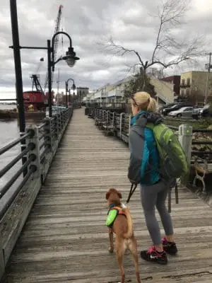 Feist dog Wally & I walking the Wilmington boardwalk