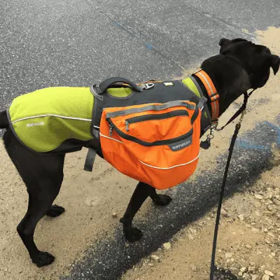 Black Boxer mix dog wears the Ruffwear Cloud Chaser Jacket with the Ruffwear Approach Pack outside on a walk