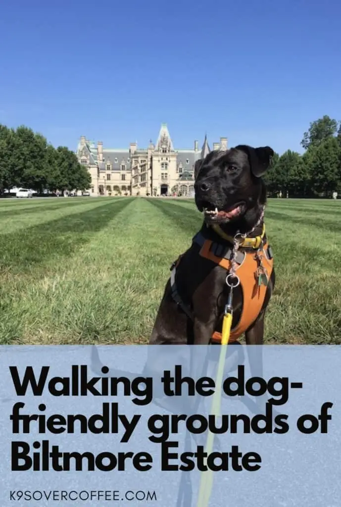 Walking the dog-friendly grounds of Biltmore Estate