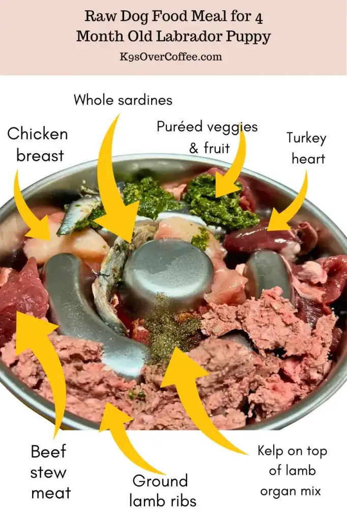 Stainless steel slow feeder filled with raw dog food for a 4 month old Labrador puppy — labeled ingredients include beef stew meat, chicken breast, turkey heart, ground lamb ribs, lamb organ mix with kelp, whole sardines, and puréed veggies & fruit
